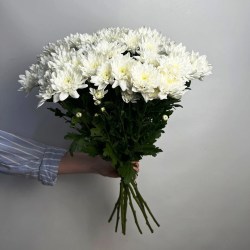 orig (2)82